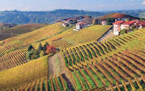 Giuseppe Cortese estate